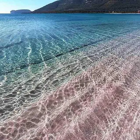 Il Giardino Di Bruna Alghero